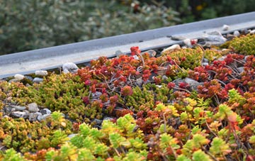 the cost of Stenhouse green roof installation