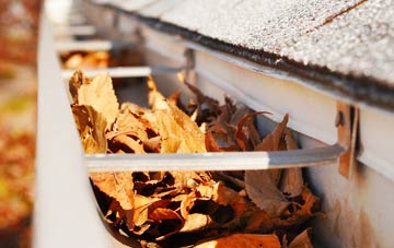 Stenhouse gutter cleaning companies