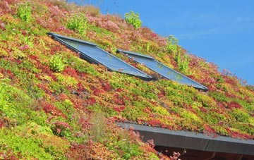 Stenhouse living roof systems
